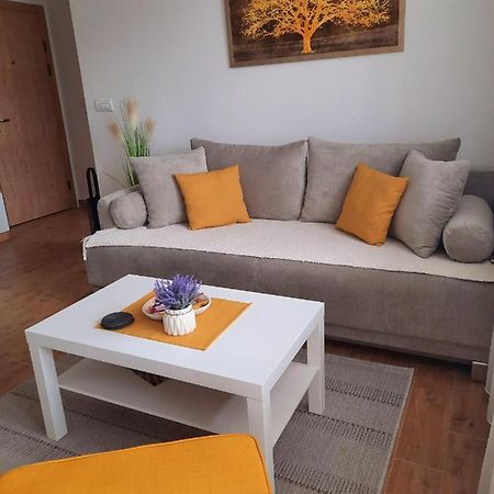 Bankovic Apartman Vrnjacka Banja Exterior photo