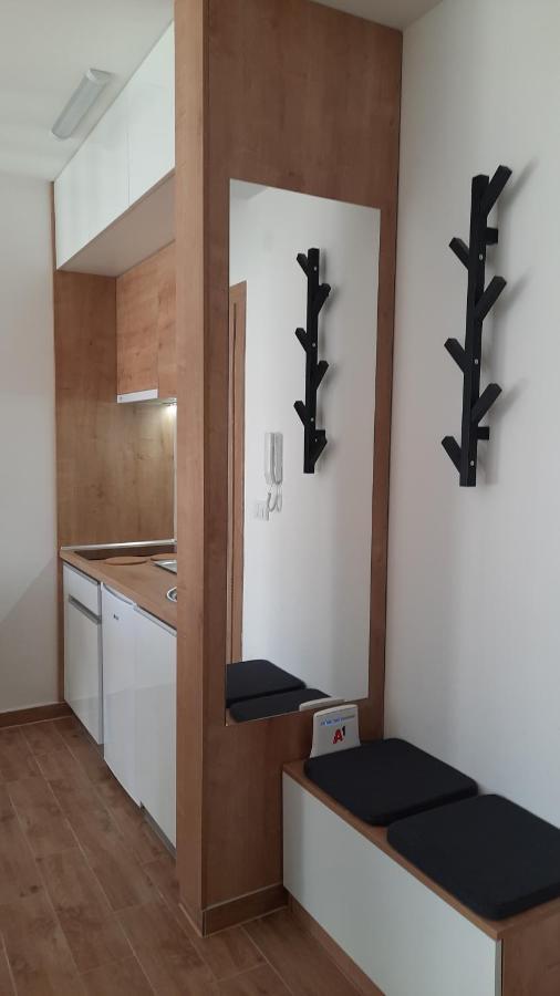 Bankovic Apartman Vrnjacka Banja Exterior photo